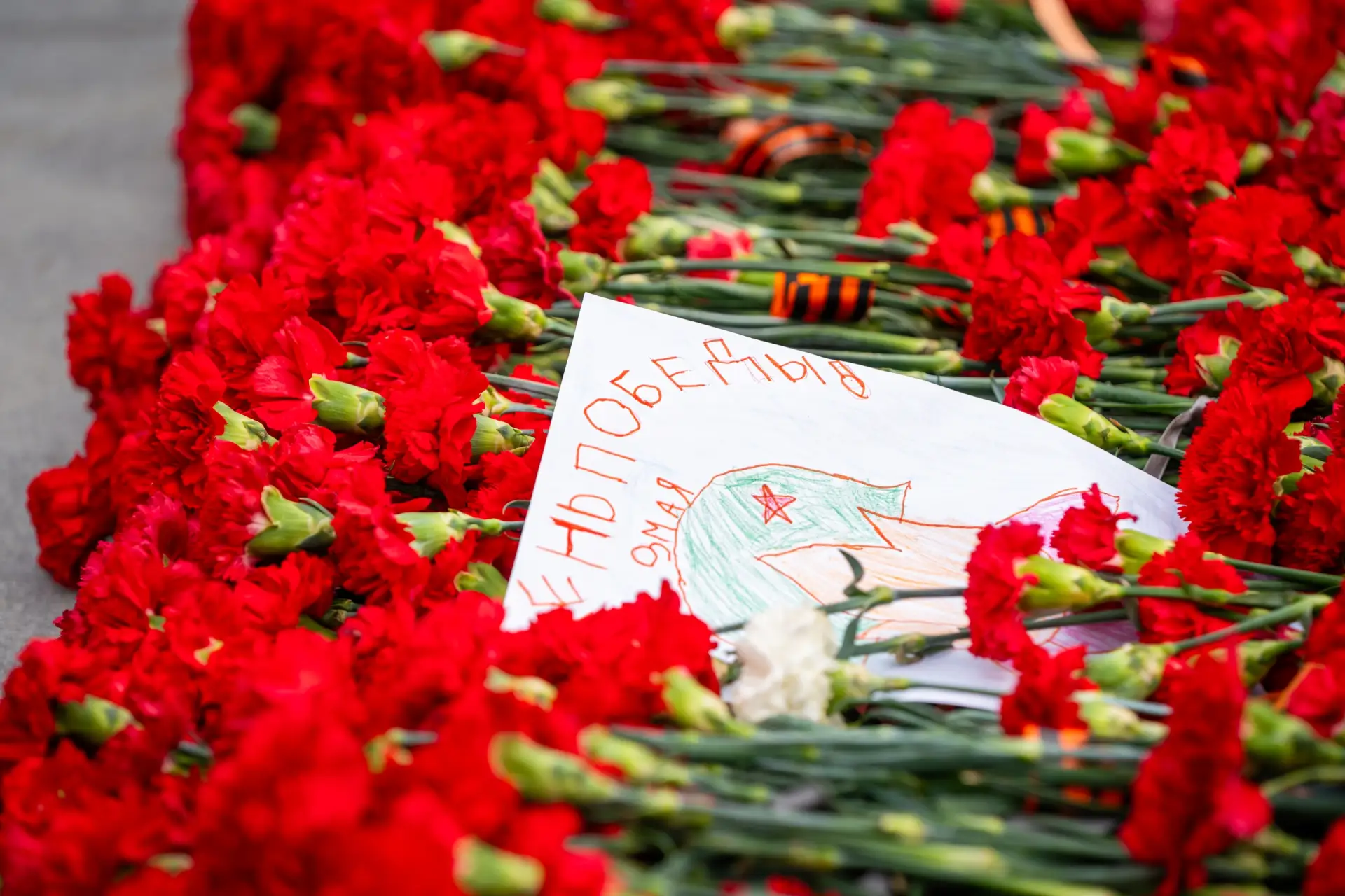 В Югре стартовала акция «Красная гвоздика» в поддержку ветеранов В Югре стартовала акция «Красная гвоздика» в поддержку ветеранов