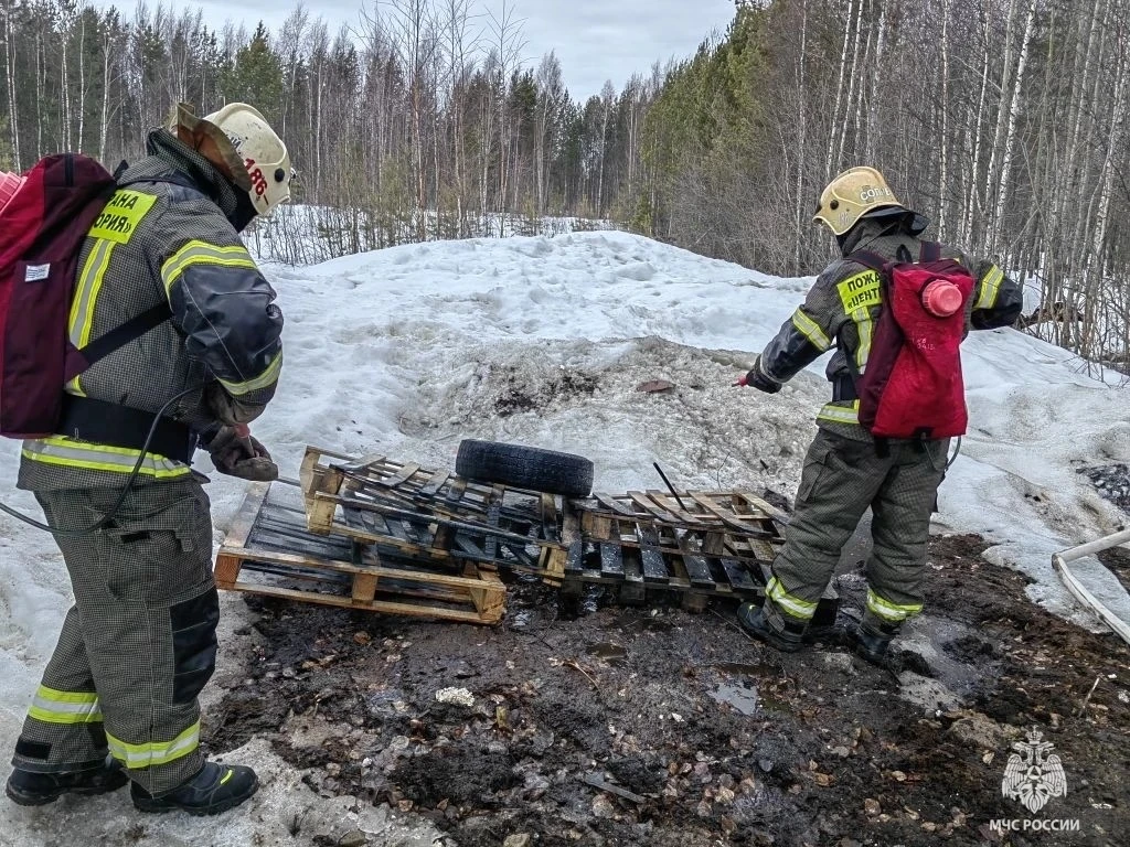 В Сургутском гарнизоне прошла тренировка по тушению лесного пожара В Сургутском гарнизоне прошла тренировка по тушению лесного пожара