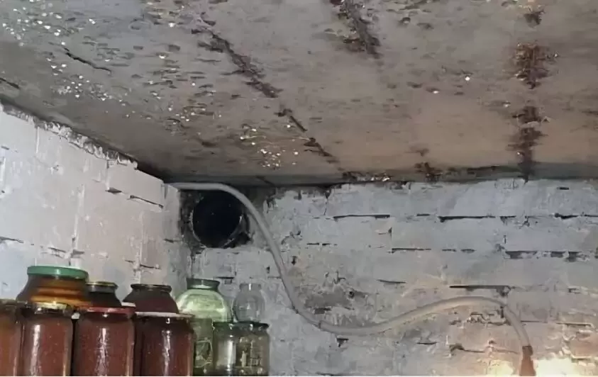 Проблемы конденсата в хранилищах: как избежать порчи урожая