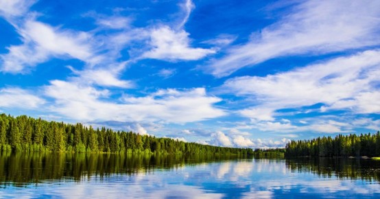 � ���� �������� ������� ������������� ����� �������� ����������� ������� � ��� ������ - 10 ����� ������