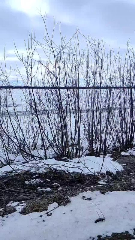 � ���� ��������� ������. �����, ������, ������, ��� ����� ��� �������� � ���� �����