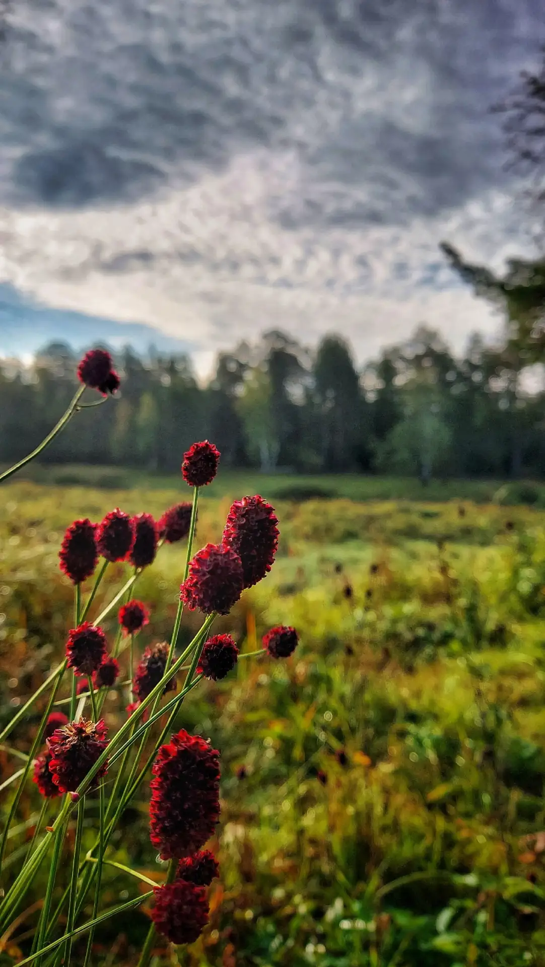 Департамент промышленности автономного округа приглашает вартовчан принять участие в опросе по теме проведения отдыха в Югре Департамент промышленности автономного округа приглашает вартовчан принять участие в опросе по теме проведения отдыха в Югре