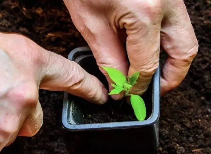 ������������ ����������� �� ��������� �������: ������� ��������� �����