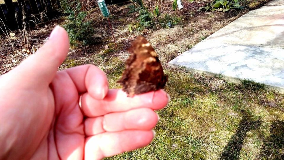 ����� � ����: ��� �������� ������ ��� ������