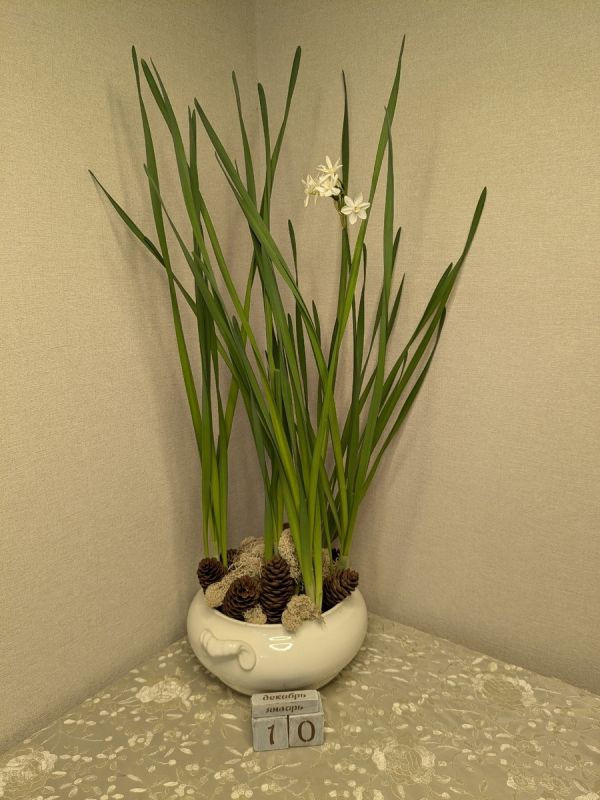 ��� ������� ����������� ����������� ������ ���: ������ � �������