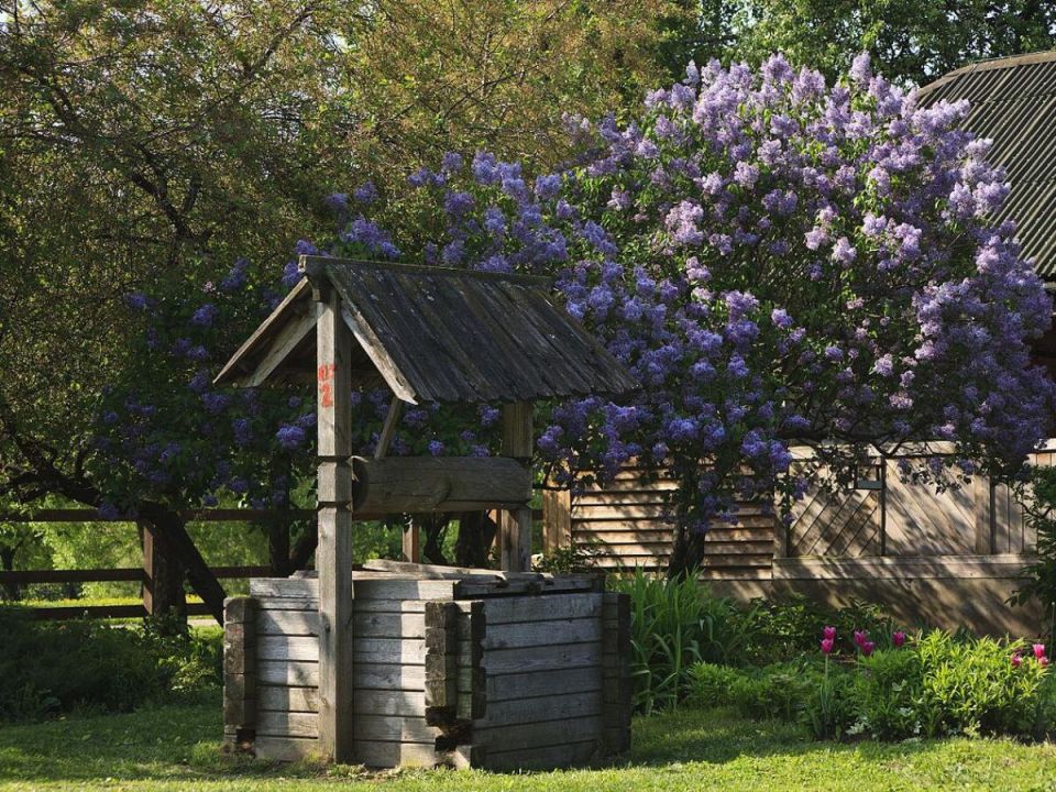 ��� �������� ������� �� ����: ������, ������� � ���������