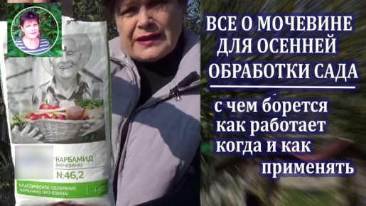 Как мочевина помогает садоводам готовиться к зиме