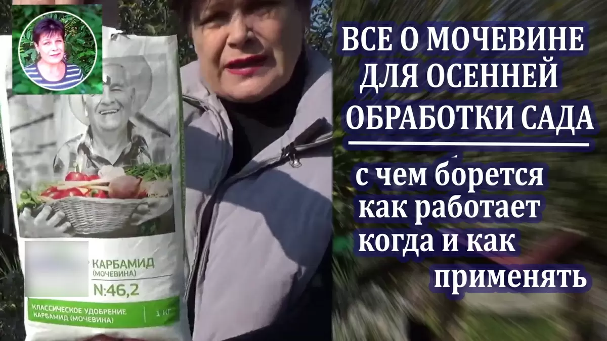 Как мочевина помогает садоводам готовиться к зиме