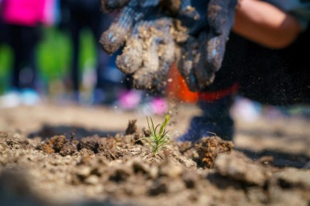 Тысяча мероприятий пройдет этим летом в ходе акции «Спасти и сохранить»