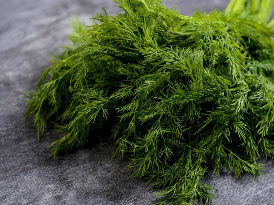 ����� � �������: ��������� ���� ��� ������ �������