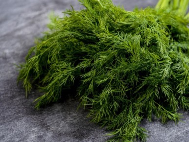 ����� � �������: ��������� ���� ��� ������ �������