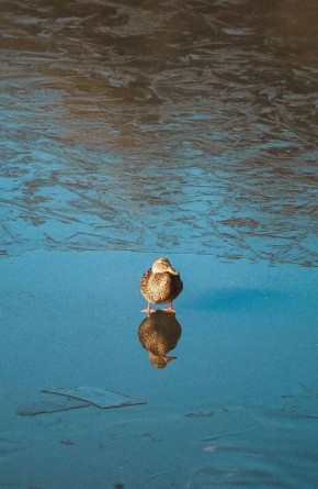 Весна — это напоминание о том, насколько прекрасными могут быть перемены!