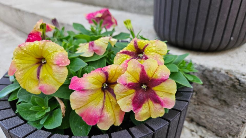 ��������� ���� ������: 5 ��������� �������, ������� ����� ������� � ���