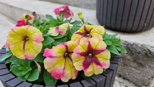 ��������� ���� ������: 5 ��������� �������, ������� ����� ������� � ���