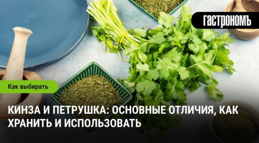 ����� � ��������: ��� �������� � ��������� ������� ���������� �����