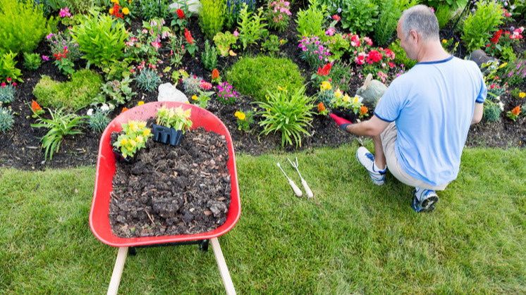 �������� � ��������� ����� ��� ������������ ���������� �������