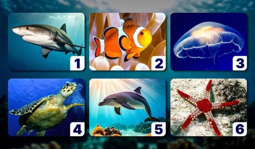 ��� ������� �������� ����� �������� ����� ����� ��������