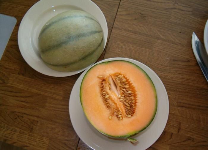 ��� ������� ��������� ������ � ����