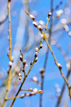 ������� �������� ������� ������� ������