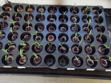 ������, ������� ��� ������: ��� ������� ��� �������, � ��� ������������