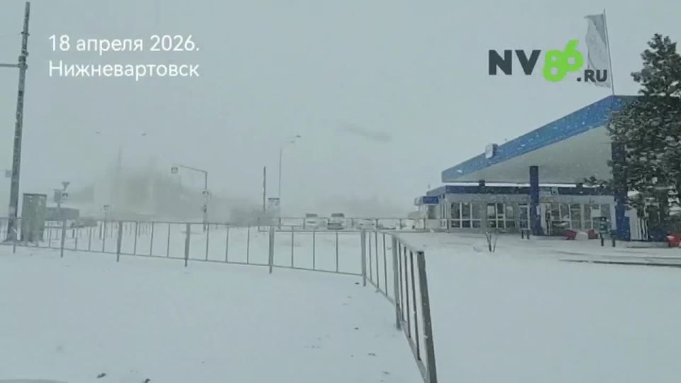 �������� �������������.. �������, ���������� ���� ����