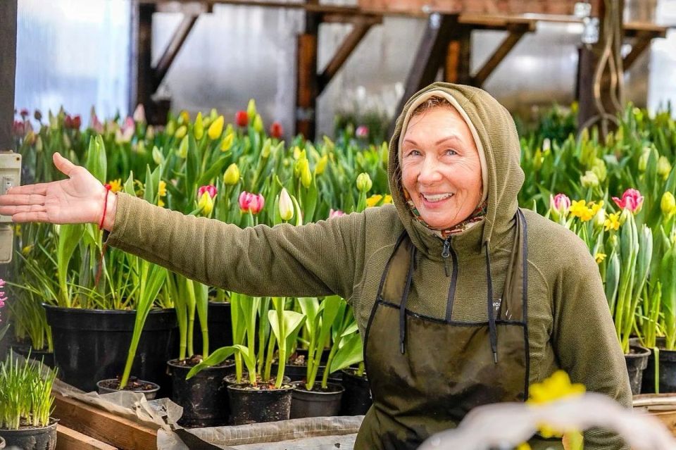 ������ � ���������: ��� �������� ������� ��������� �����