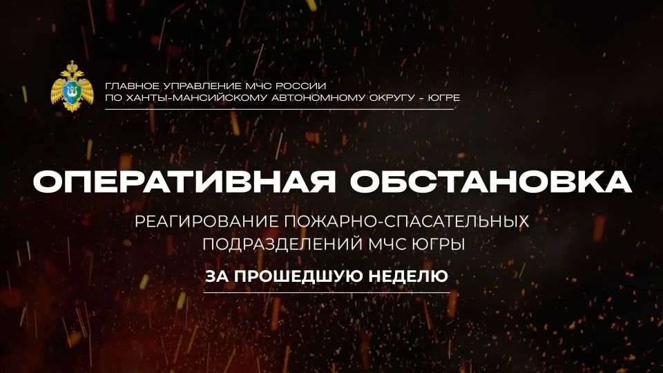 ����������� ������: ����� ������ �������-������������ ������������� ���� �� ������