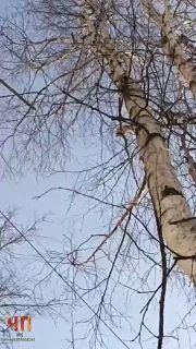 ������ ��� ���������!..��� ������� ����� �������� ��������� �������