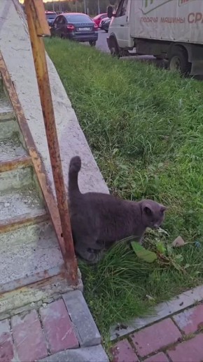 ������ ����, ������! ��� ����� ��� ���� ���