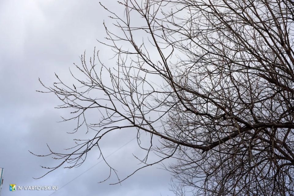 ��������: ��������������� �������� �������