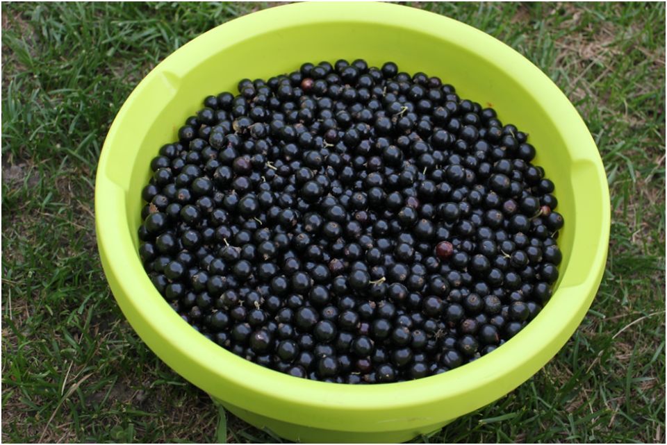 ��� ���������� ������ ��������� �� ���� ��� ������ ������