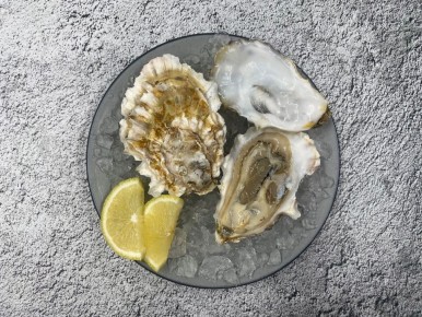 ������� �����: ����, ������� ����� �����������