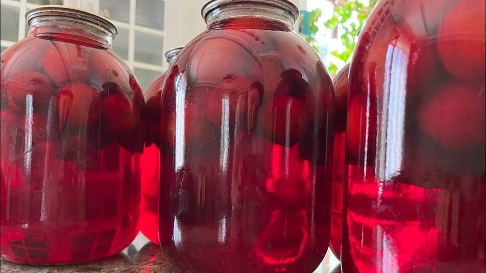 �������� ������: �������� � ���� � ������ ������