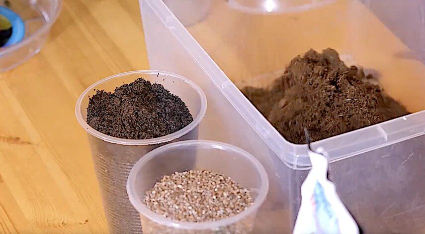 ����� ��� �������: ��� ������� ��������� ����� ��� ������� ������ ������