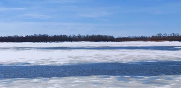 ����������� ������������ ���������� ������ ���� � ���� ���