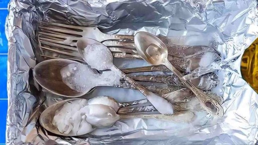 ������������ �������� �������: ��� ����� � ���� ���������� ������������ �����������