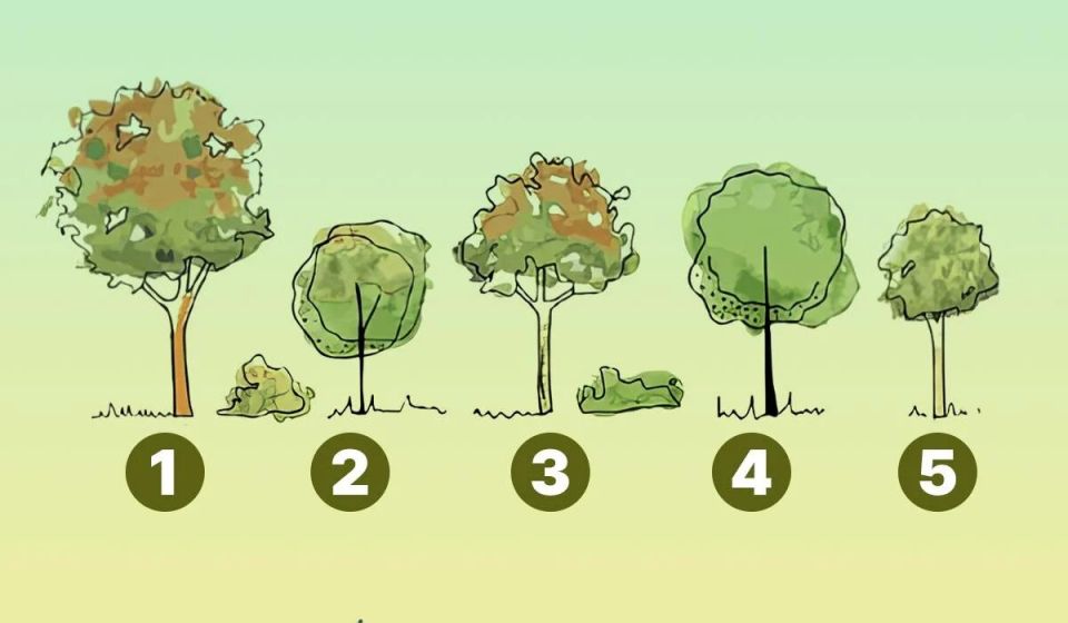 ����� ������ �� ��������? �������, ��������� �� ���������� � ������� ����� �����