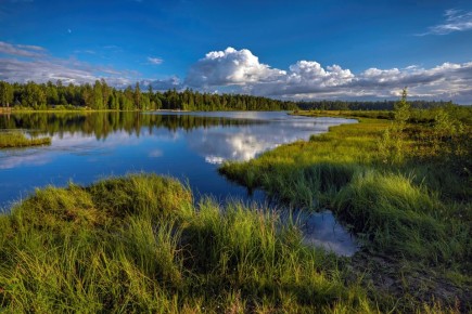 � ���������� ������ �������� ����������� ������������� ��������