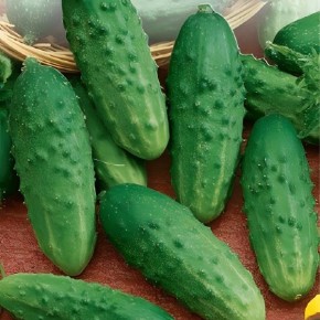 ������ �������: ��������� ����� ��� ��������� ������