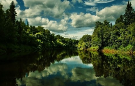 � ���� ������� 54 ����� ���������� ��� � ������ �� ����� �������� ���� ��������� � ������� ����