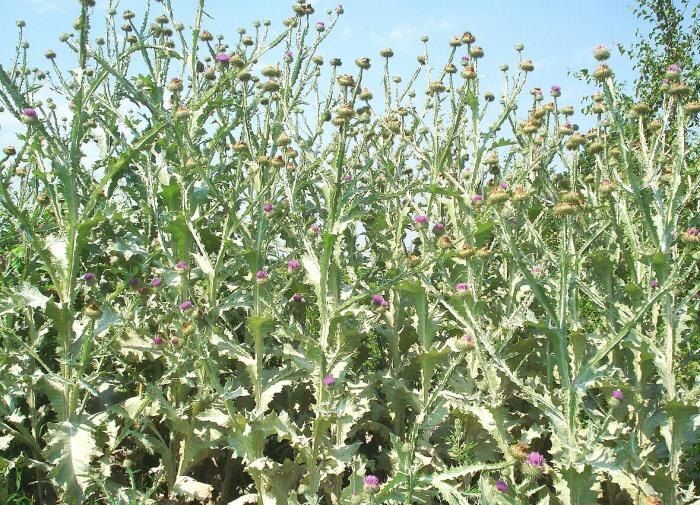 ��� ���������� ����������� � ��������� �� ����: ��� ������� ������