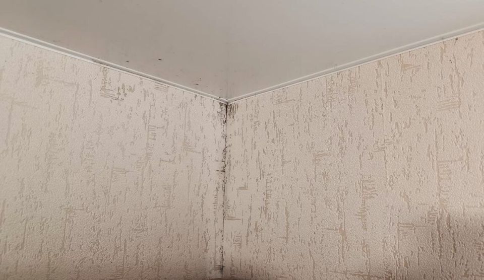 ��� �������� ������� � ��������: ����������� ������ � ������������