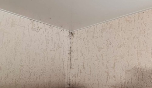 ��� �������� ������� � ��������: ����������� ������ � ������������