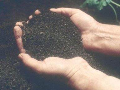 ��� �������� �������� ���������: �������, ������� ����� ����� �������