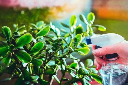 �������� ���������� ������� � ��������� ������