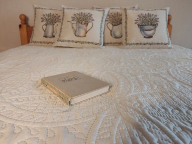 ��� ������ ����� ������ ���� ����: ������ �� �������� ����� � ��������