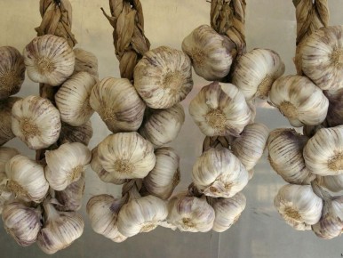 ��� ������ ������ �������: ������� ������ ��� ��������