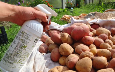 ��� ������� ��������� �� �����: ������ ��� ���������