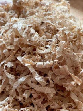 ������ � ����: ��� �������� ���������������� ������ � �������� �������� ������