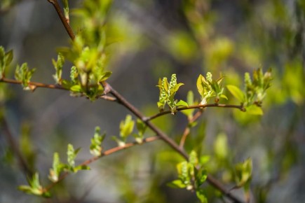 ������ ����, ����!. ������ ����� �� ����� �����, ��� ������, ���� �� ���� �� � ������ ��������